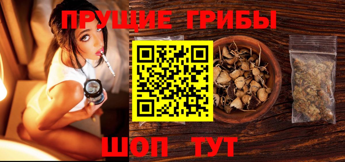 Псилоцибиновые грибы Cubensis  Галлюциногенные грибы Cubensis  Гуково  Вход с VPN 
