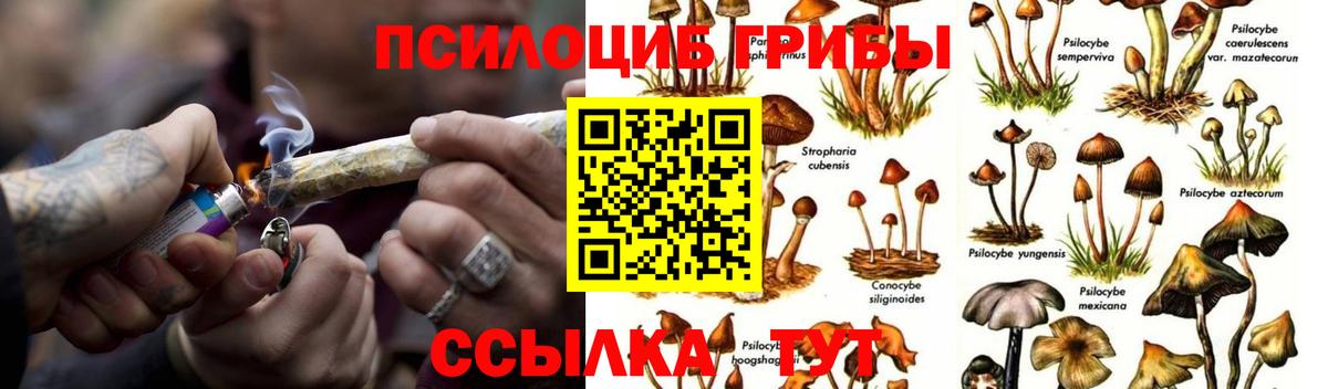 Галлюциногенные грибы MAGIC MUSHROOMS Гуково